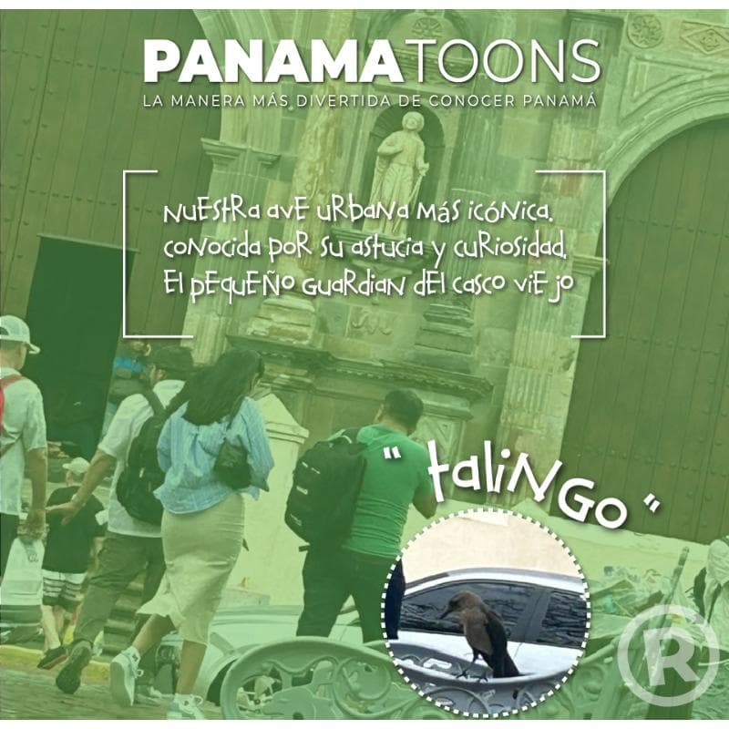 Panama Toons 5-3