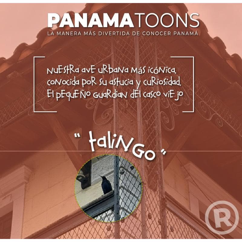 Panama Toons 6-3